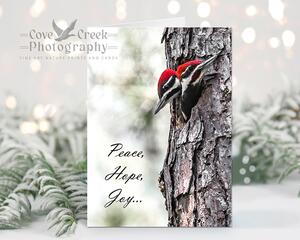 Christmas card with two pileated woodpecker nestlings and the message Peace, Hope, Joy... available at Cove Creek Photography.